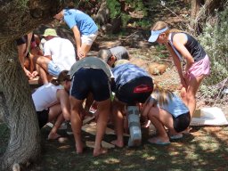 Salomon Senekal Viljoenskron